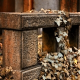 Hřbitovy-Umění pouštět 5